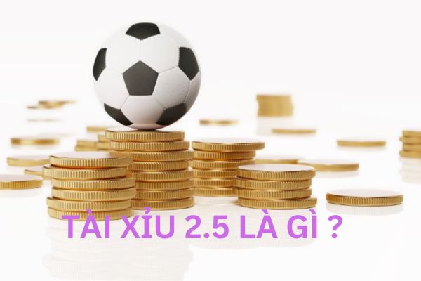 Cách chơi tài xỉu 2.5