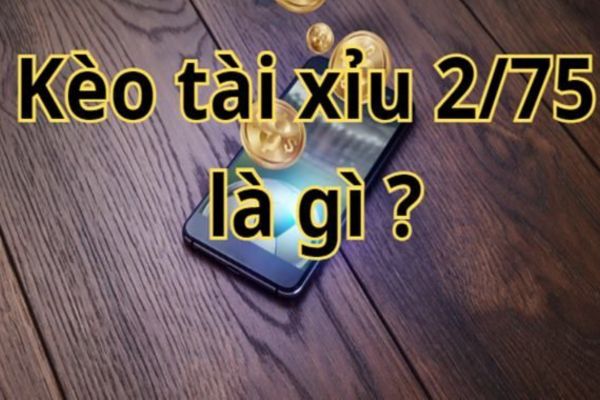 Kèo tài xỉu 2.75 là gì