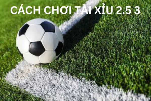 Bí kíp chơi tài xỉu 2.5 3