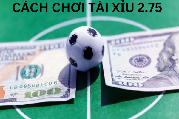 Mẹo chơi tài xỉu 2.75