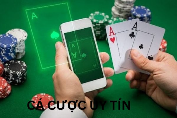 Tham gia cá cược uy tín